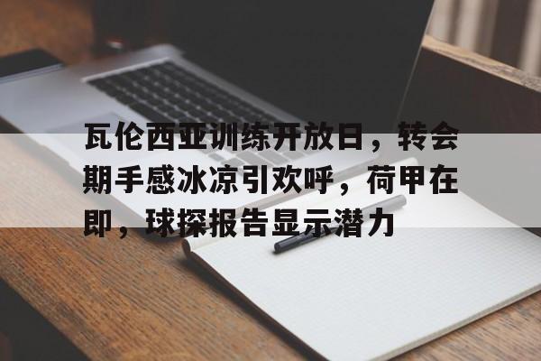 关于瓦伦西亚训练开放日，转会期手感冰凉引欢呼，荷甲在即，球探报告显示潜力的信息