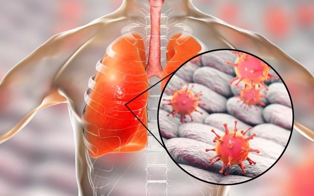意大利杯赛程吃紧，布莱顿转会期复出首秀，震撼外界，医务组通报恢复的简单介绍